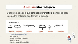 Análisis Morfológico .pdf