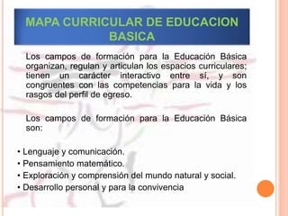 MAPA CURRICULAR DE EDUCACION
BASICA
Los campos de formación para la Educación Básica
organizan, regulan y articulan los espacios curriculares;
tienen un carácter interactivo entre sí, y son
congruentes con las competencias para la vida y los
rasgos del perfil de egreso.
Los campos de formación para la Educación Básica
son:
• Lenguaje y comunicación.
• Pensamiento matemático.
• Exploración y comprensión del mundo natural y social.
• Desarrollo personal y para la convivencia
 