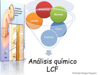 Proteínas
                        Glucosa

Lactato

                         Cloro

                                        Proteínas
              ENZIMAS




Análisis químico
      LCF                         Orlando Vargas Payares
 