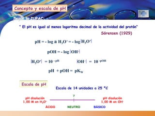 Concepto y escala de pH

Según la IUPAC:

  “ El pH es igual al menos logaritmo decimal de la actividad del protón”
                                                   Sörensen (1929)

           pH = - log a H3O+ = - log H3O+

                     pOH = - log OH–

         H3O+ = 10 - pH                OH– = 10 -pOH

                     pH + pOH = pKW


    Escala de pH
                          Escala de 14 unidades a 25 ºC

                                   7
     pH disolución                                  pH disolución
    1,00 M en H3O+                                 1,00 M en OH-
                  ÁCIDO         NEUTRO         BÁSICO
 