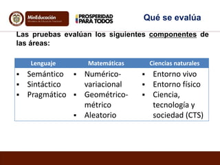 Qué se evalúa
Las pruebas evalúan los siguientes componentes de
las áreas:
Lenguaje





Matemáticas

Semántico  NuméricoSintáctico
variacional
Pragmático  Geométricométrico
 Aleatorio

Ciencias naturales





Entorno vivo
Entorno físico
Ciencia,
tecnología y
sociedad (CTS)

 