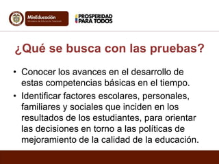¿Qué se busca con las pruebas?
• Conocer los avances en el desarrollo de
estas competencias básicas en el tiempo.
• Identificar factores escolares, personales,
familiares y sociales que inciden en los
resultados de los estudiantes, para orientar
las decisiones en torno a las políticas de
mejoramiento de la calidad de la educación.

 