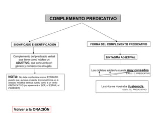 COMPLEMENTO PREDICATIVO

SIGNIFICADO E IDENTIFICACIÓN

Complemento del predicado verbal
que tiene como núcleo un
ADJETIVO, que concuerda en
género y número con el sujeto.

FORMA DEL COMPLEMENTO PREDICATIVO

SINTAGMA ADJETIVAL

Los ciclistas subían la cuesta muy cansados
S.ADJ. / C. PREDICATIVO

NOTA: No debe confundirse con el ATRIBUTO,
puesto que, aunque presente la misma forma en la
oración, modifica tanto al sujeto, como a un verbo
PREDICATIVO (no aparecerá ni SER, ni ESTAR, ni
PARECER).

Volver a la ORACIÓN

La chica se mostraba ilusionada
S.ADJ. / C. PREDICATIVO

 