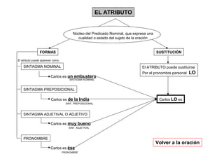 EL ATRIBUTO

Núcleo del Predicado Nominal, que expresa una
cualidad o estado del sujeto de la oración

FORMAS

SUSTITUCIÓN

El atributo puede aparecer como:

SINTAGMA NOMINAL

El ATRIBUTO puede sustituirse

Carlos es un embustero

Por el pronombre personal

LO

SINTAGMA NOMINAL

SINTAGMA PREPOSICIONAL
Carlos es de la India

Carlos LO es

SINT. PREPOSICIONAL

SINTAGMA ADJETIVAL O ADJETIVO
Carlos es muy bueno
SINT. ADJETIVAL

PRONOMBRE

Volver a la oración
Carlos es ése
PRONOMBRE

 