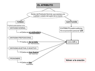 EL ATRIBUTO
Núcleo del Predicado Nominal, que expresa una
cualidad o estado del sujeto de la oración
FORMAS SUSTITUCIÓN
Volver a la oración
SINTAGMA NOMINAL
SINTAGMA PREPOSICIONAL
SINTAGMA ADJETIVAL O ADJETIVO
PRONOMBRE
El atributo puede aparecer como:
Carlos es un embustero
SINTAGMA NOMINAL
Carlos es de la India
PRONOMBRE
Carlos es muy bueno
Carlos es ése
SINT. ADJETIVAL
SINT. PREPOSICIONAL
El ATRIBUTO puede sustituirse
Por el pronombre personal LO
Carlos LO es
 
