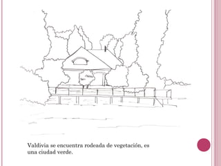 Valdivia se encuentra rodeada de vegetación, es
una ciudad verde.
 