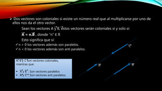  Dos vectores son coloniales si existe un número real que al multiplicarse por uno de
ellos nos da el otro vector.
Sean los vectores A y B, estos vectores serán coloniales si y solo si:
A = n.B , donde “n” Є R
Esto significa que si:
n > 0 los vectores además son paralelos.
n < 0 los vectores además son anti paralelos.
C
A B
A, B y C son vectores coloniales,
mientras que:
 A y B : Son vectores paralelos
 A y C : Son vectores anti paralelos.
 