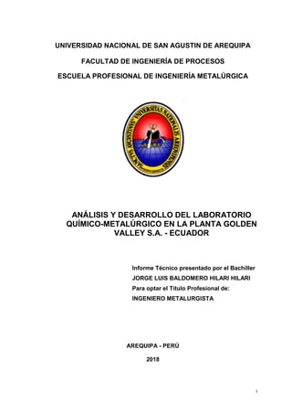 I
UNIVERSIDAD NACIONAL DE SAN AGUSTIN DE AREQUIPA
FACULTAD DE INGENIERÍA DE PROCESOS
ESCUELA PROFESIONAL DE INGENIERÍA METALÚRGICA
ANÁLISIS Y DESARROLLO DEL LABORATORIO
QUÍMICO-METALÚRGICO EN LA PLANTA GOLDEN
VALLEY S.A. - ECUADOR
Informe Técnico presentado por el Bachiller
JORGE LUIS BALDOMERO HILARI HILARI
Para optar el Título Profesional de:
INGENIERO METALURGISTA
AREQUIPA - PERÚ
2018
 