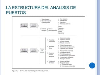 LA ESTRUCTURA DEL ANALISIS DE
PUESTOS
 