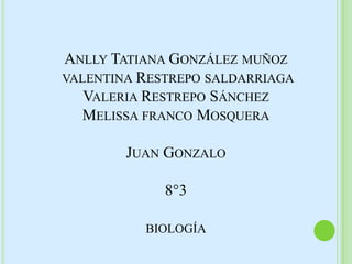 ANLLY TATIANA GONZÁLEZ MUÑOZ
VALENTINA RESTREPO SALDARRIAGA
VALERIA RESTREPO SÁNCHEZ
MELISSA FRANCO MOSQUERA
JUAN GONZALO
8°3
BIOLOGÍA

 