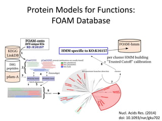 Protein Models for Functions: 
FOAM Database 
Nucl. Acids Res. (2014) 
doi: 10.1093/nar/gku702 
 