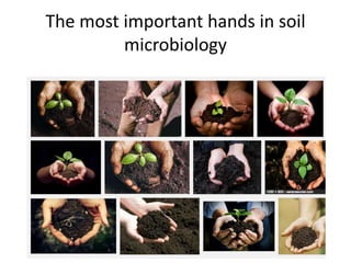 The most important hands in soil 
microbiology 
 