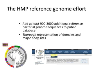 The HMP reference genome effort 
• Add at least 900-3000 additional reference 
bacterial genome sequences to public 
database 
• Thorough representation of domains and 
major body sites 
 
