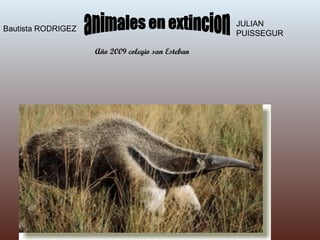 animales en extincion Bautista RODRIGEZ JULIAN PUISSEGUR Año 2009 colegio san Esteban  