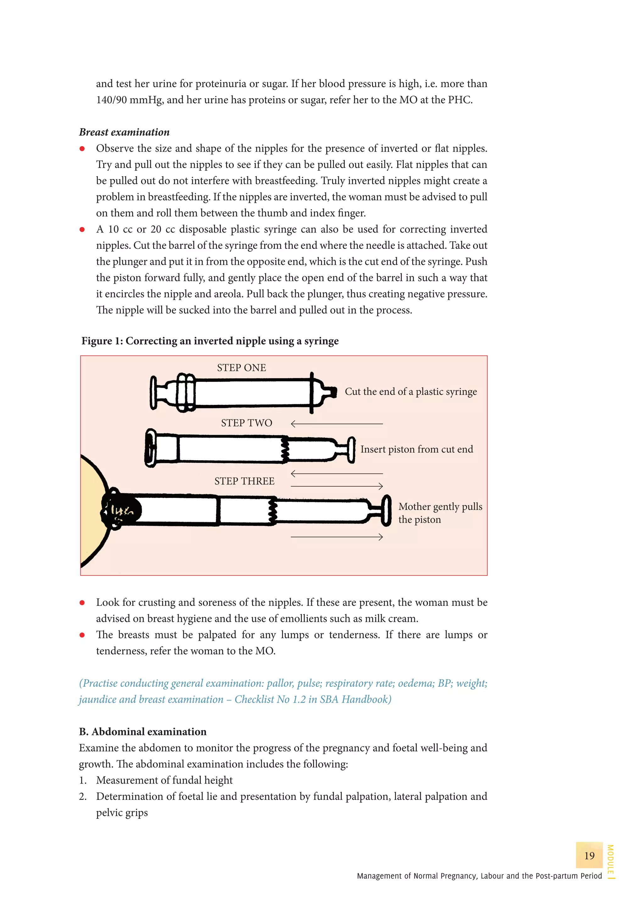 Guidelines for antenatal care and skilled attendance at birth by ANMs ...