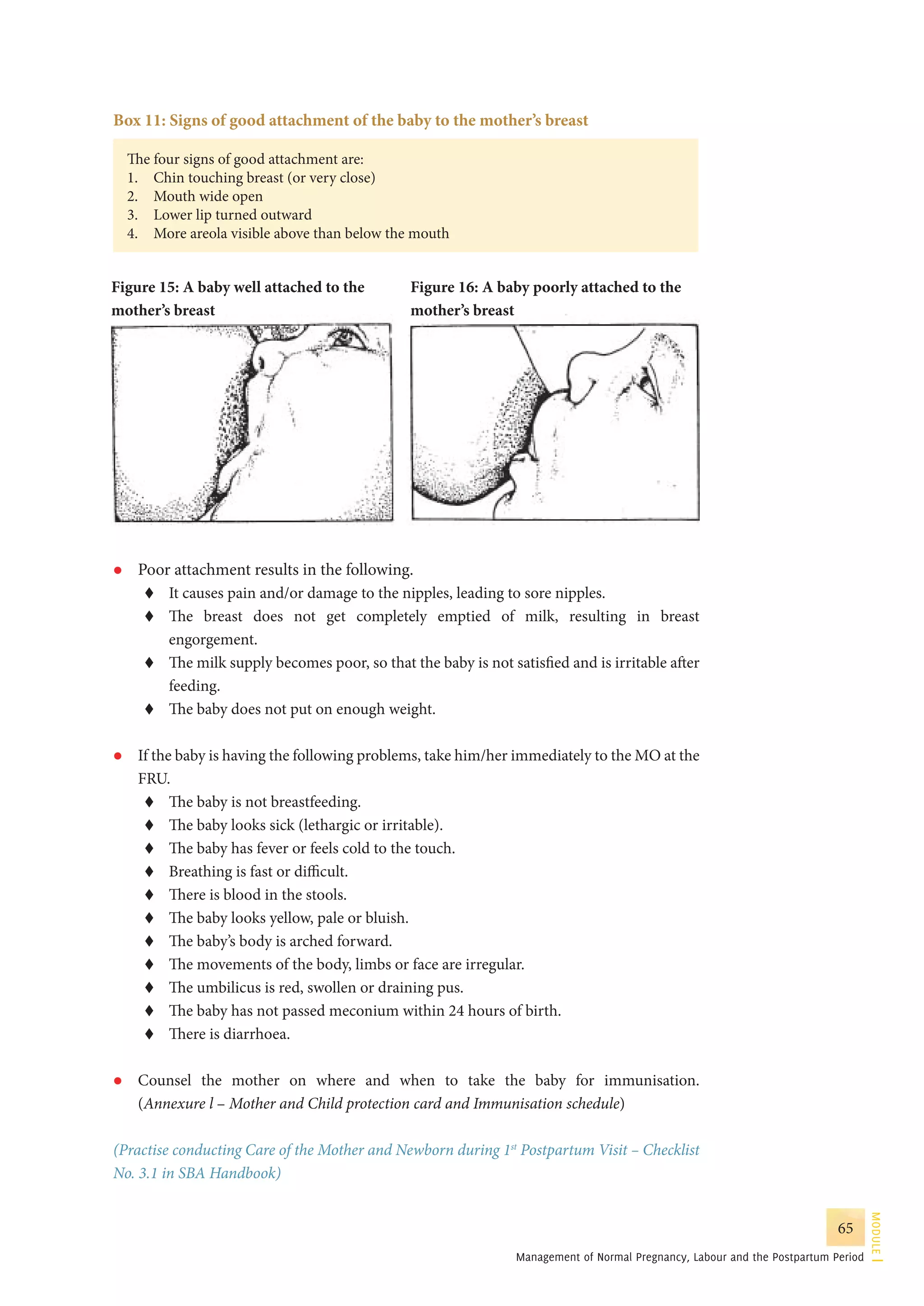 Guidelines for antenatal care and skilled attendance at birth by ANMs ...