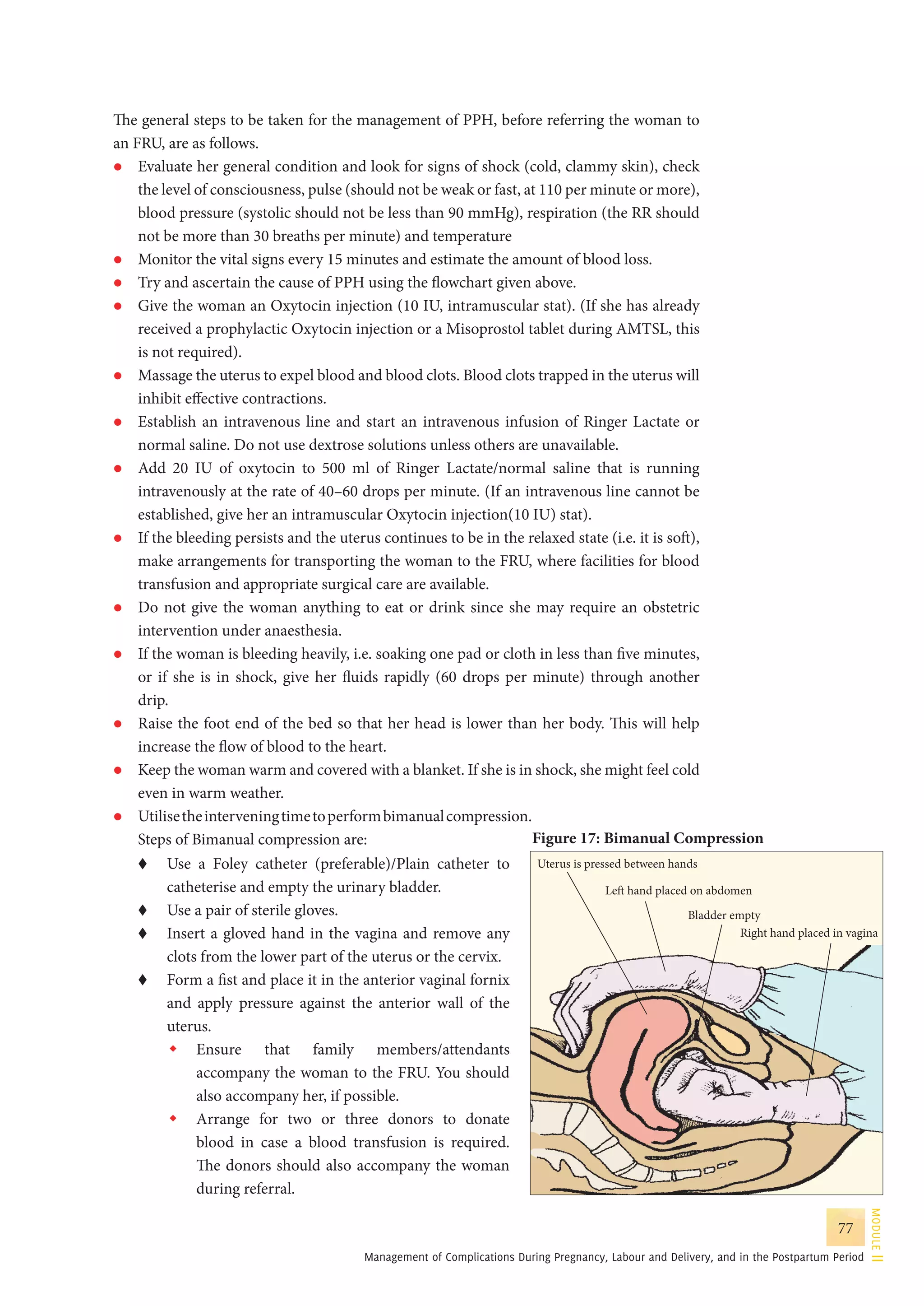Guidelines for antenatal care and skilled attendance at birth by ANMs ...