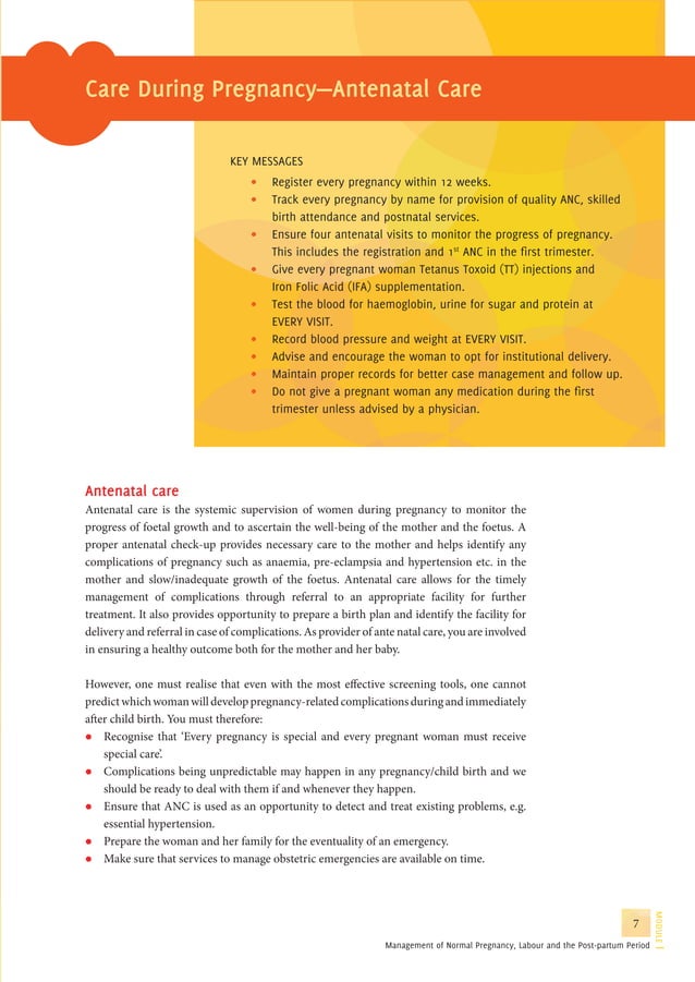 Guidelines for antenatal care and skilled attendance at birth by ANMs ...
