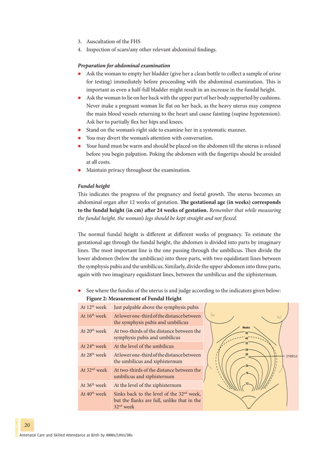 Guidelines for antenatal care and skilled attendance at birth by ANMs ...