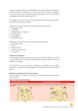 Guidelines for antenatal care and skilled attendance at birth by ANMs ...