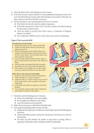 Guidelines for antenatal care and skilled attendance at birth by ANMs ...