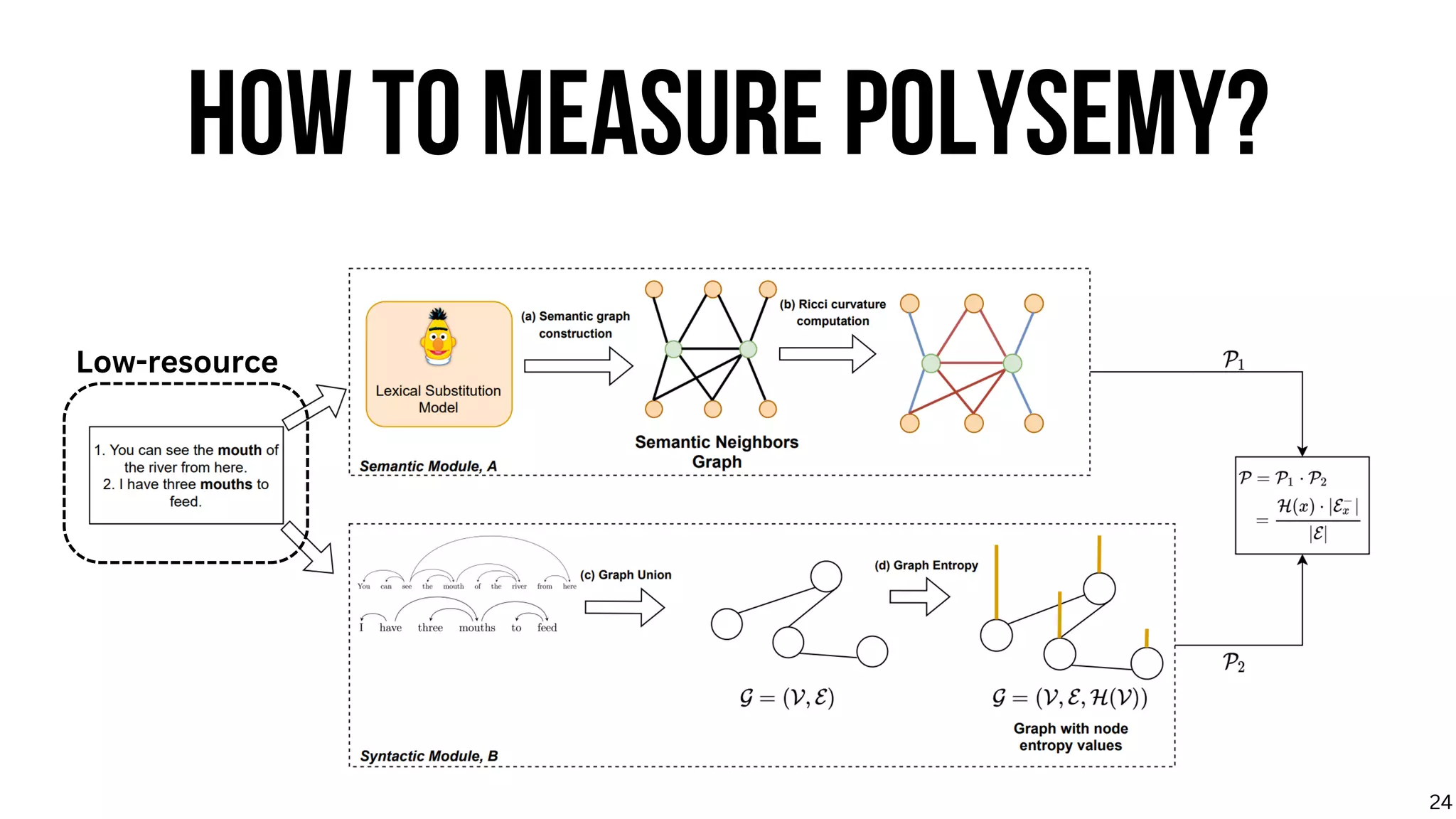 HOW TO MEASURE POLYSEMY?
Low-resource
24
 