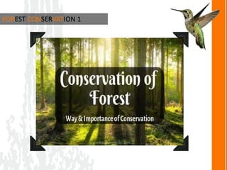 Forest conservation | PPTX
