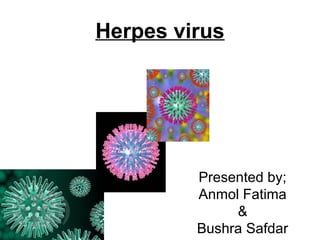 Herpes virus
Herpes virus
Presented by;
Anmol Fatima
&
Bushra Safdar
 