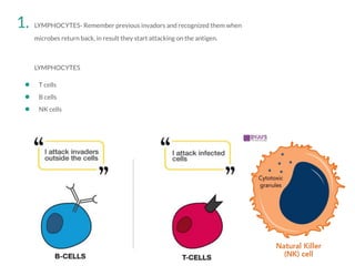 INTRODUCTION TO IMMUNE SYSTEM A.pptx.pdf