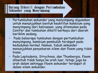 Bagian…. ditemukan tumbuhan dikotil pada tumbuh titik primer pada Titik tumbuh Bagian…. ditemukan tumbuhan dikotil pada tumbuh titik primer pada Titik Tumbuh