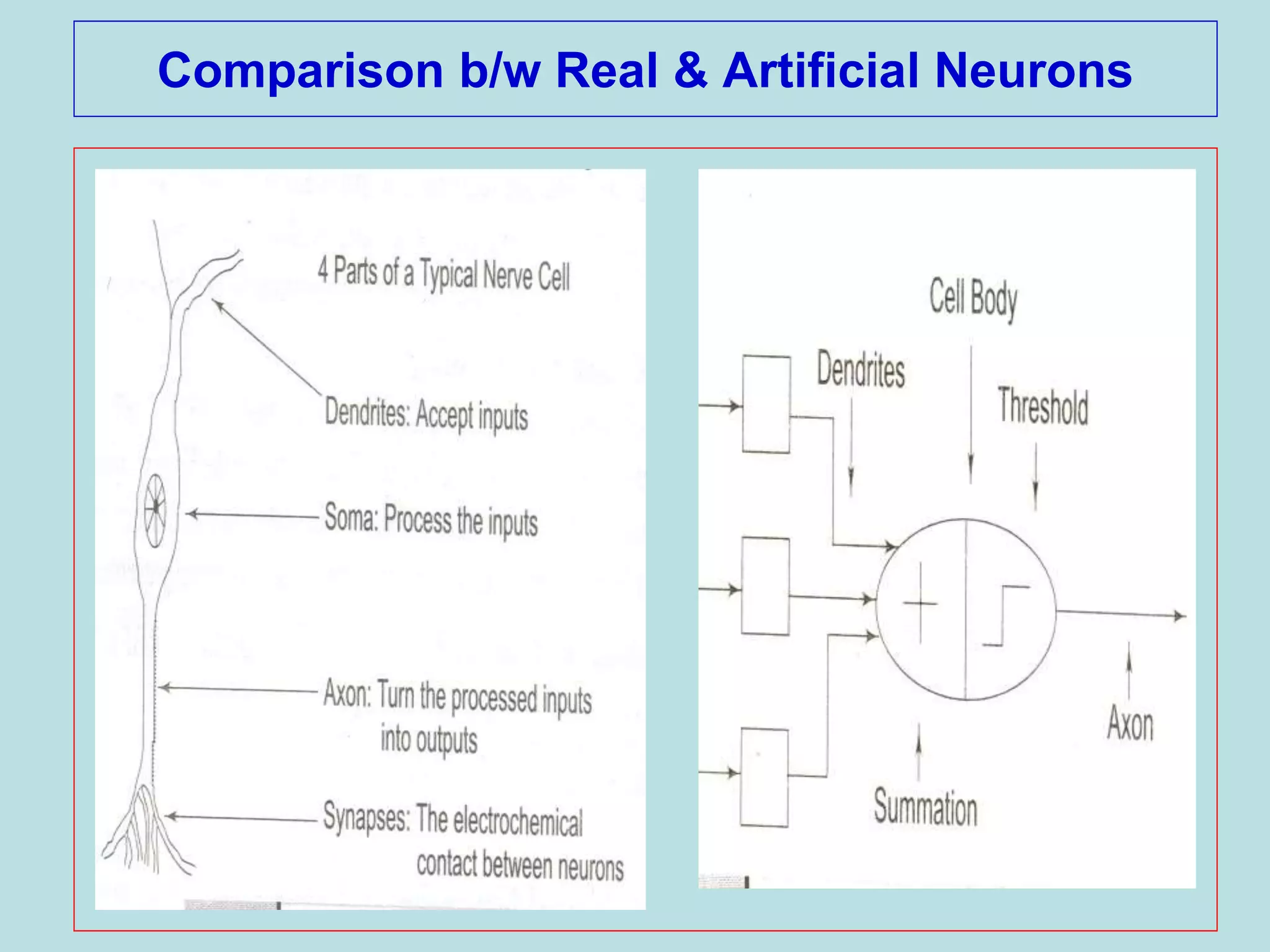 Comparison b/w Real & Artificial Neurons
 