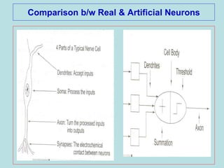 Comparison b/w Real & Artificial Neurons
 