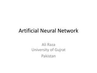 Artificial Neural Network
Ali Raza
University of Gujrat
Pakistan
 