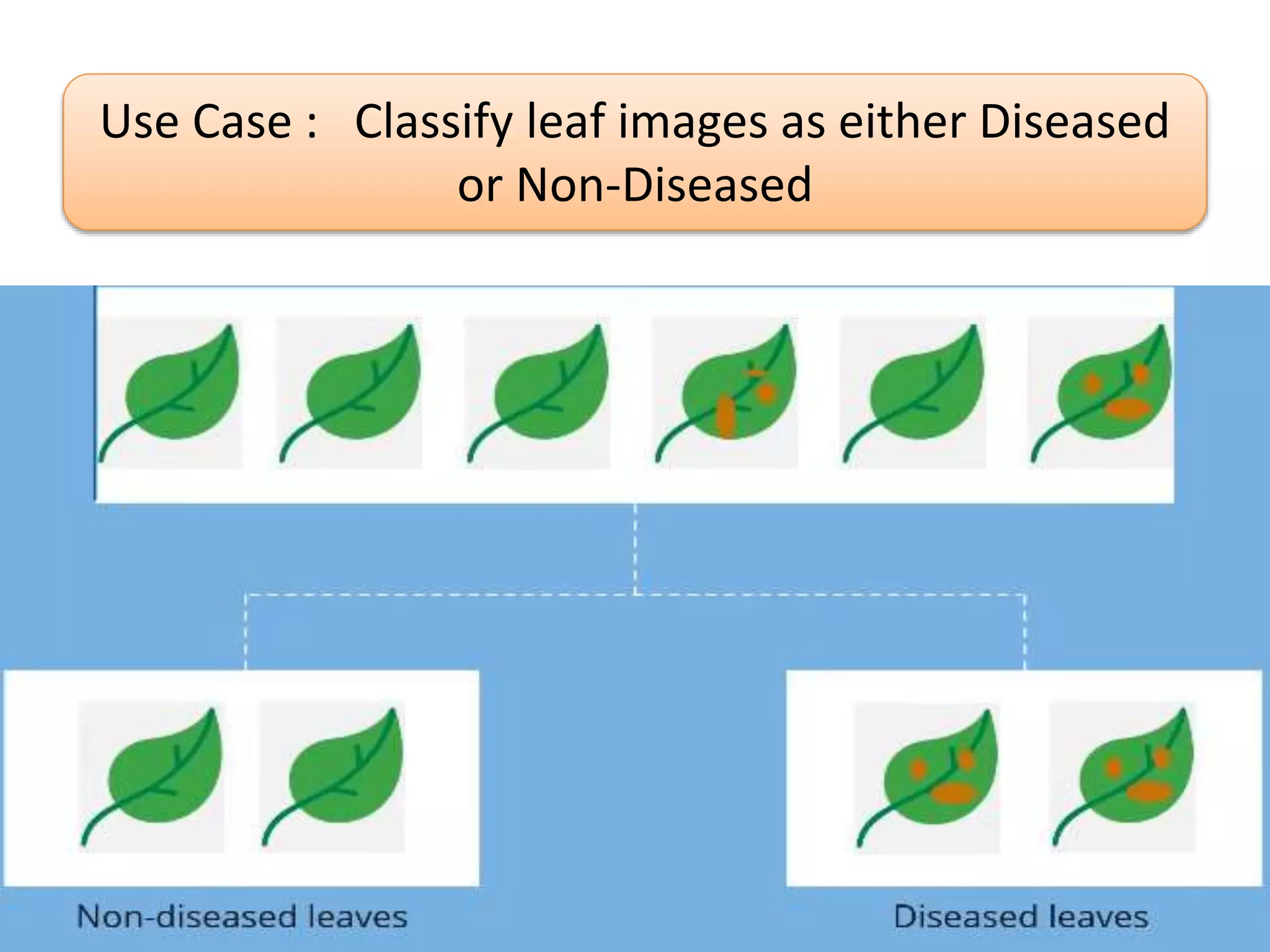 Use Case : Classify leaf images as either Diseased
or Non-Diseased
 