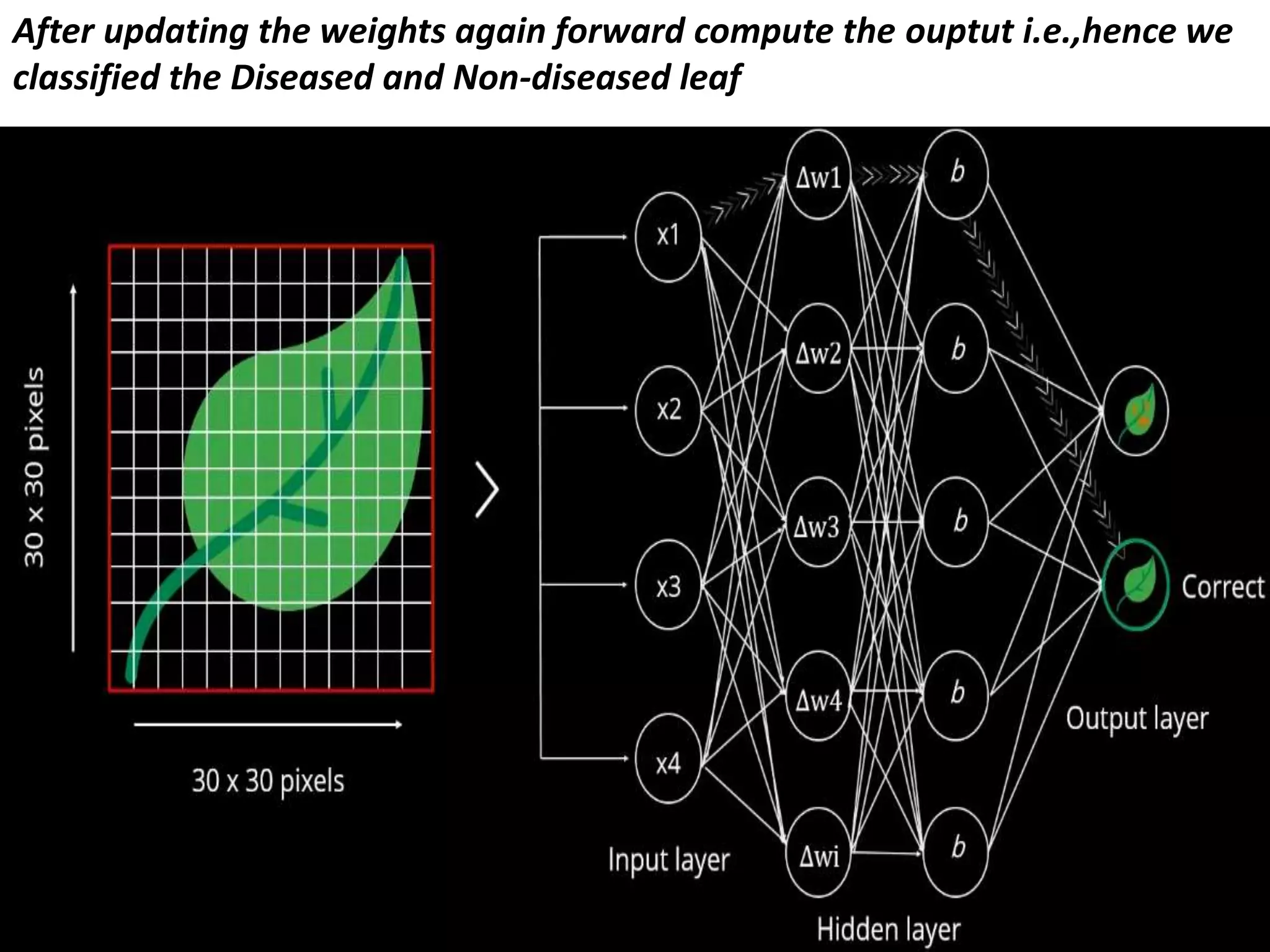 After updating the weights again forward compute the ouptut i.e.,hence we
classified the Diseased and Non-diseased leaf
 