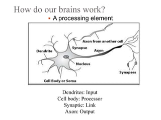 How do our brains work?
 A processing element
Dendrites: Input
Cell body: Processor
Synaptic: Link
Axon: Output
 