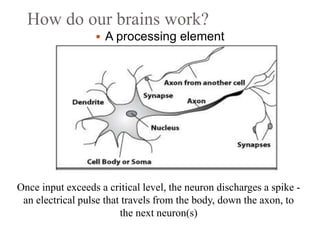How do our brains work?
 A processing element
Once input exceeds a critical level, the neuron discharges a spike ‐
an electrical pulse that travels from the body, down the axon, to
the next neuron(s)
 