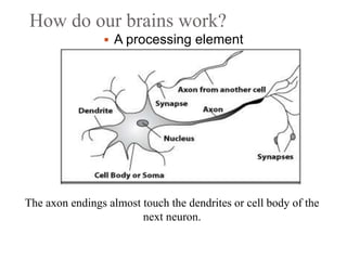 How do our brains work?
 A processing element
The axon endings almost touch the dendrites or cell body of the
next neuron.
 