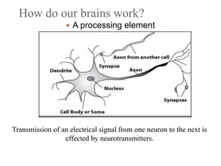 How do our brains work?
 A processing element
Transmission of an electrical signal from one neuron to the next is
effected by neurotransmitters.
 