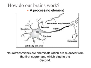 How do our brains work?
 A processing element
Neurotransmitters are chemicals which are released from
the first neuron and which bind to the
Second.
 