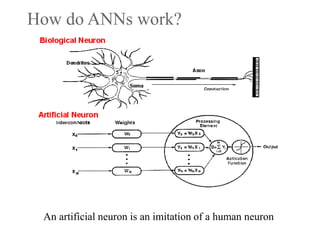 How do ANNs work?
An artificial neuron is an imitation of a human neuron
 