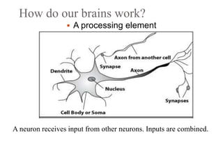 How do our brains work?
 A processing element
A neuron receives input from other neurons. Inputs are combined.
 