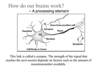 How do our brains work?
 A processing element
This link is called a synapse. The strength of the signal that
reaches the next neuron depends on factors such as the amount of
neurotransmitter available.
 