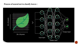 ANN (Artificial Neural Network )- Deep Learning | PPTX