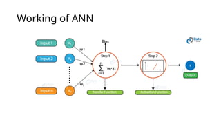 Comprehensive Overview of Artificial Neural Networks: Architecture ...