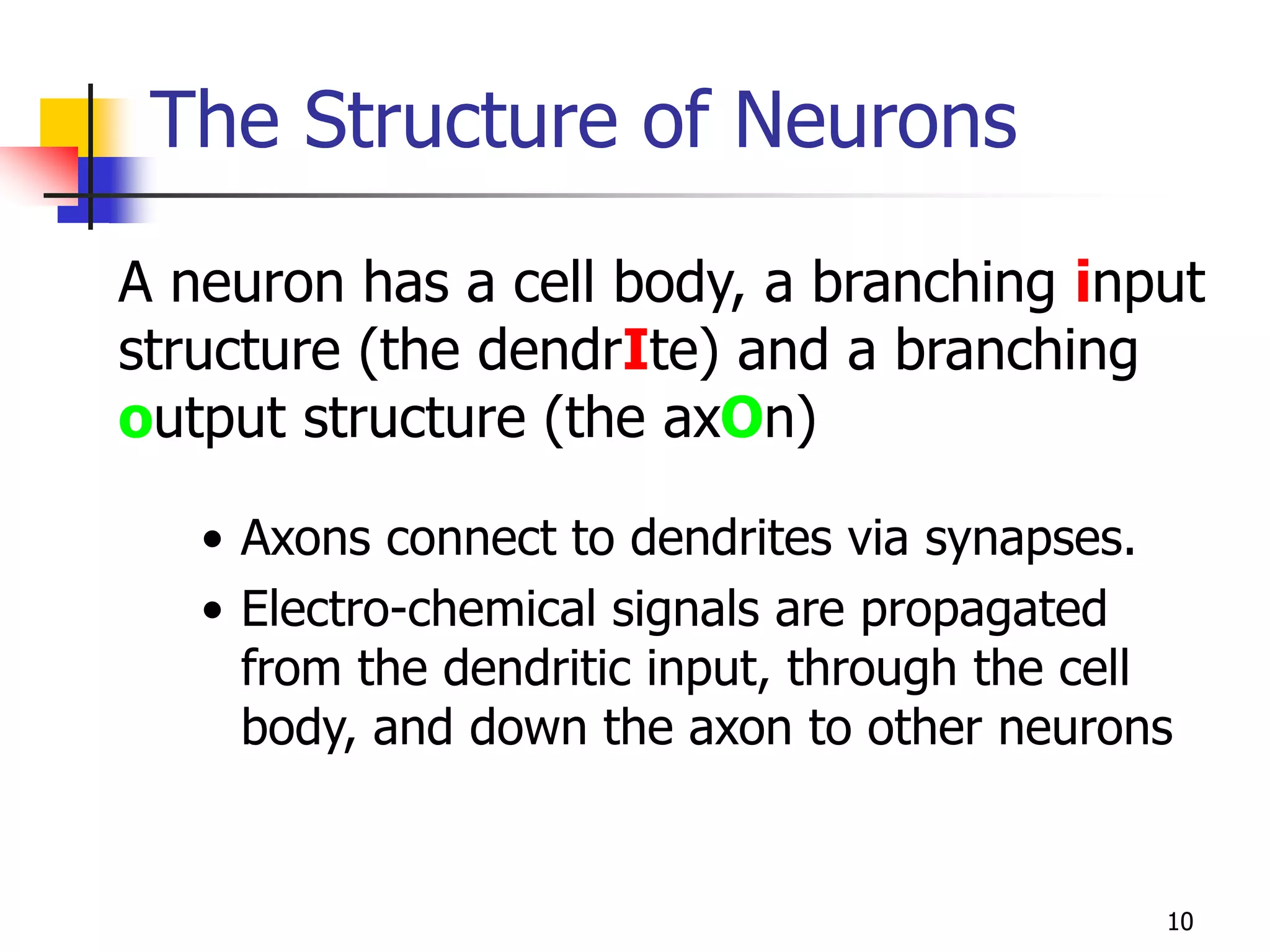 10
The Structure of Neurons
• Axons connect to dendrites via synapses.
• Electro-chemical signals are propagated
from the dendritic input, through the cell
body, and down the axon to other neurons
A neuron has a cell body, a branching input
structure (the dendrIte) and a branching
output structure (the axOn)
 