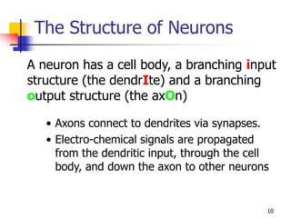 10
The Structure of Neurons
• Axons connect to dendrites via synapses.
• Electro-chemical signals are propagated
from the dendritic input, through the cell
body, and down the axon to other neurons
A neuron has a cell body, a branching input
structure (the dendrIte) and a branching
output structure (the axOn)
 