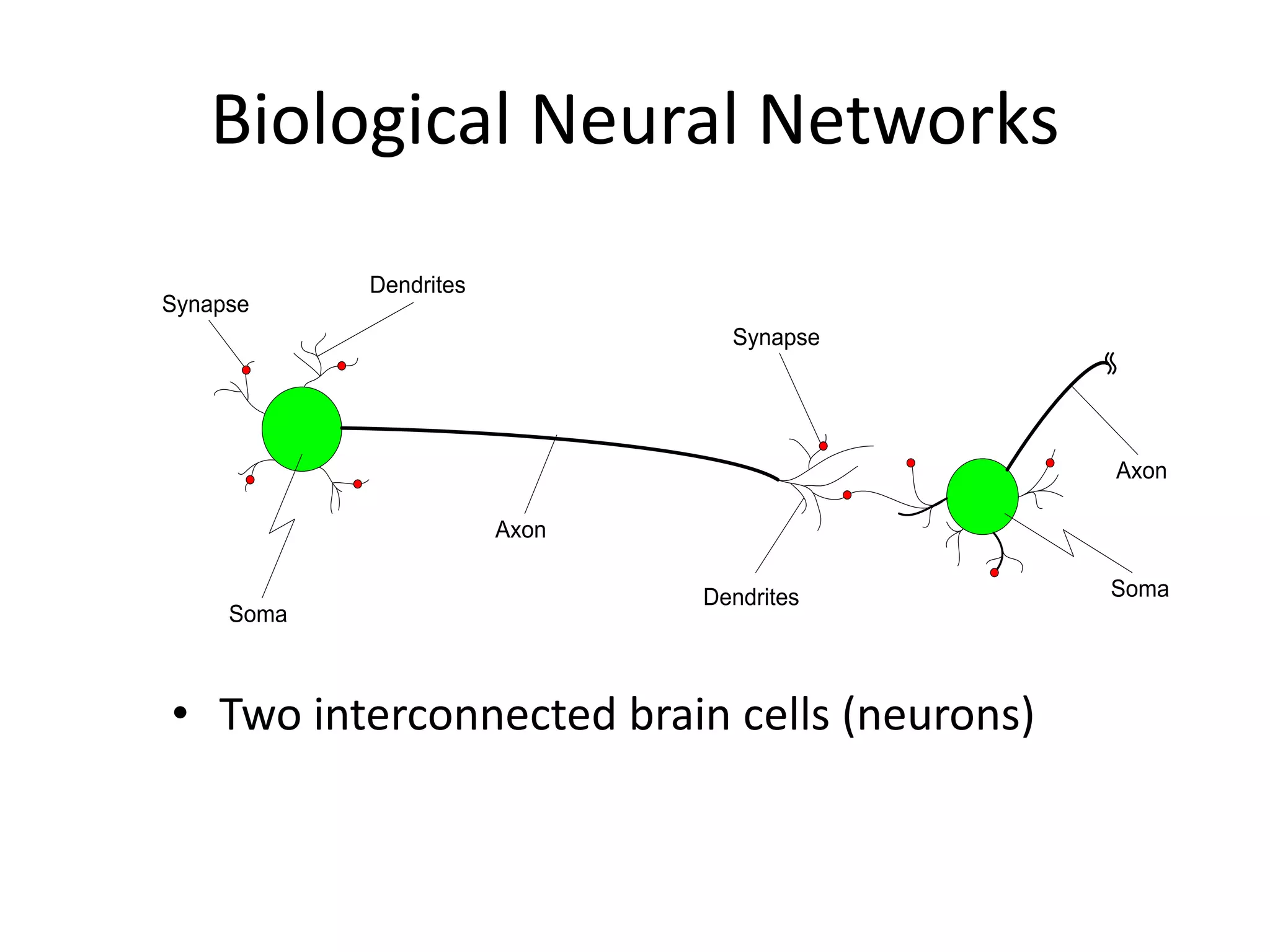 Biological Neural Networks Soma Axon Axon Synapse Synapse Dendrites Dendrites Soma • Two interconnected brain cells (neurons) 