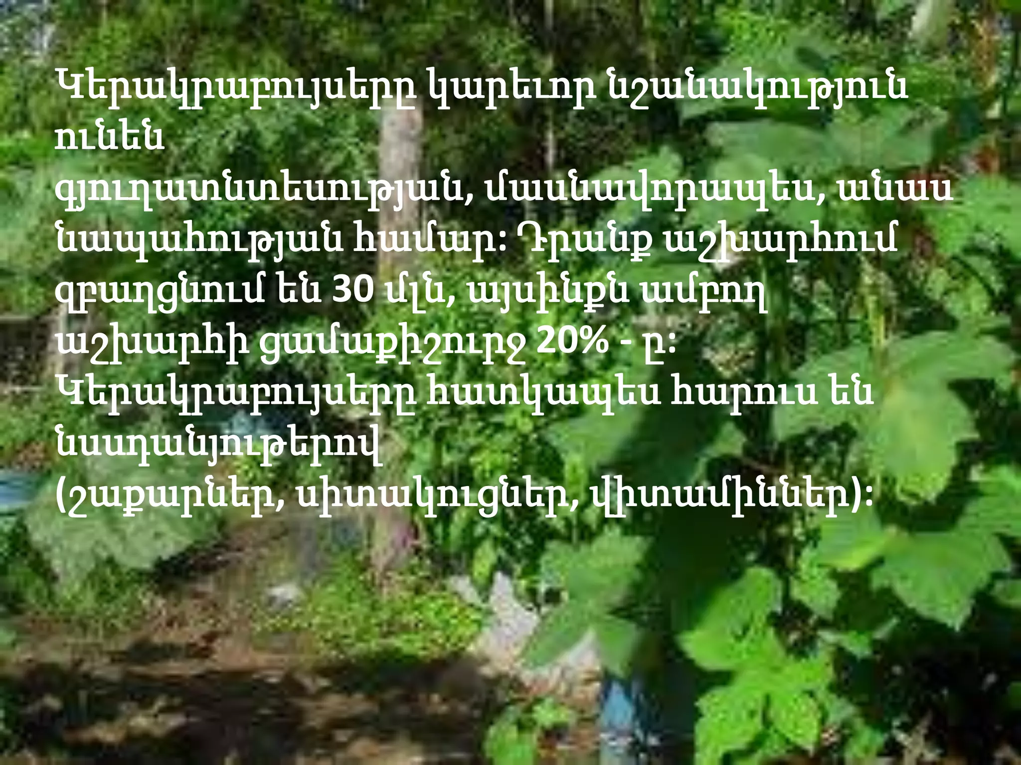 Կերակրաբույսերը կարեւոր նշանակություն
ունեն
գյուղատնտեսության, մասնավորապես, անաս
նապահության համար: Դրանք աշխարհում
զբաղցնում են 30 մլն, այսինքն ամբող
աշխարհի ցամաքիշուրջ 20% - ը:
Կերակրաբույսերը հատկապես հարուս են
նսսդանյութերով
(շաքարներ, սիտակուցներ, վիտամիններ):
 