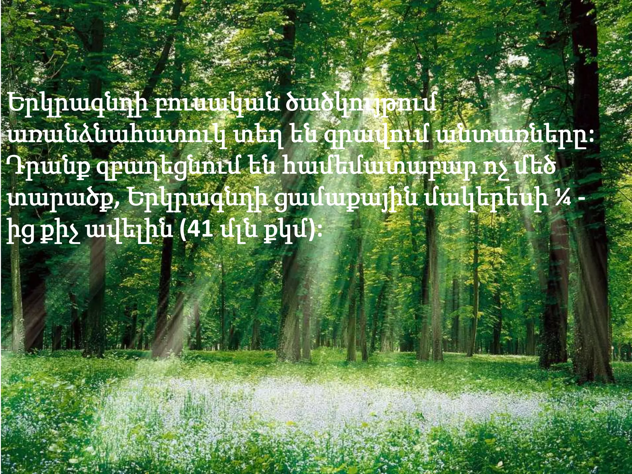 Երկրագնդի բուսական ծածկույթում
առանձնահատուկ տեղ են գրավում անտառները:
Դրանք զբաղեցնում են համեմատաբար ոչ մեծ
տարածք, Երկրագնդի ցամաքային մակերեսի ¼ -
ից քիչ ավելին (41 մլն քկմ):
 